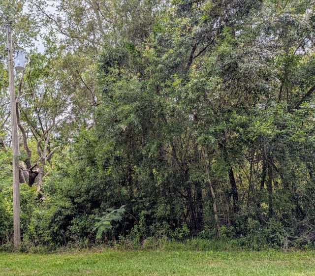 8970 N Joann Drive, Citrus Springs, FL 34434