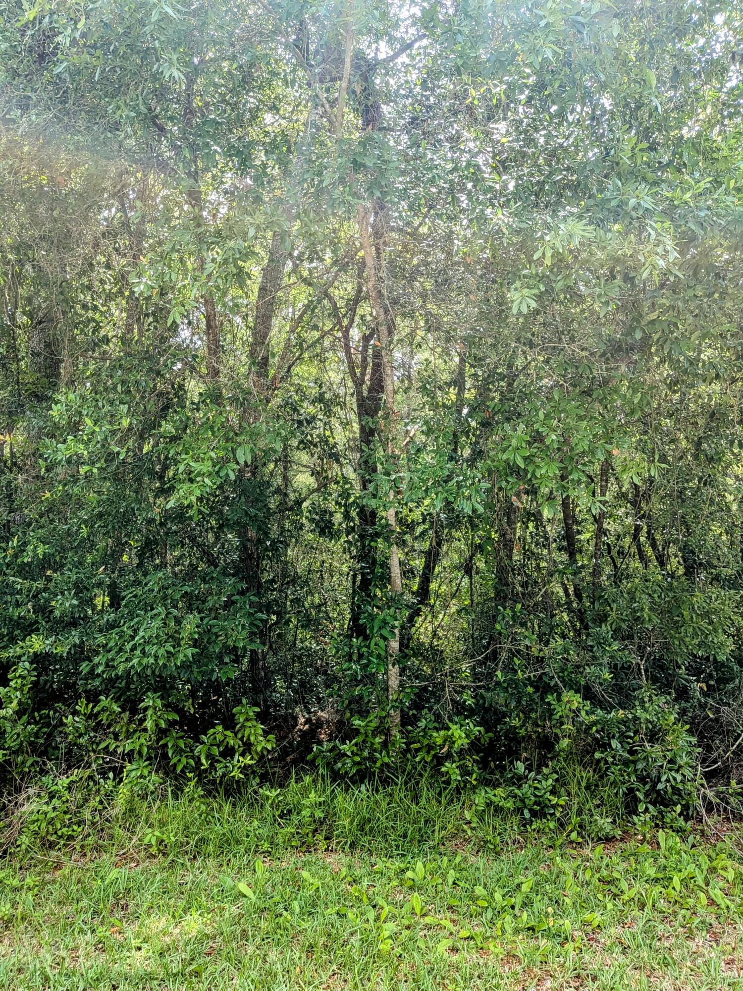 8970 N Joann Drive — photo 3