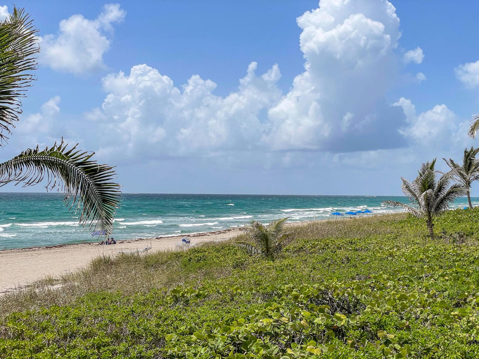 3221 S Ocean Boulevard 501, Highland Beach, FL 33487 photo 24