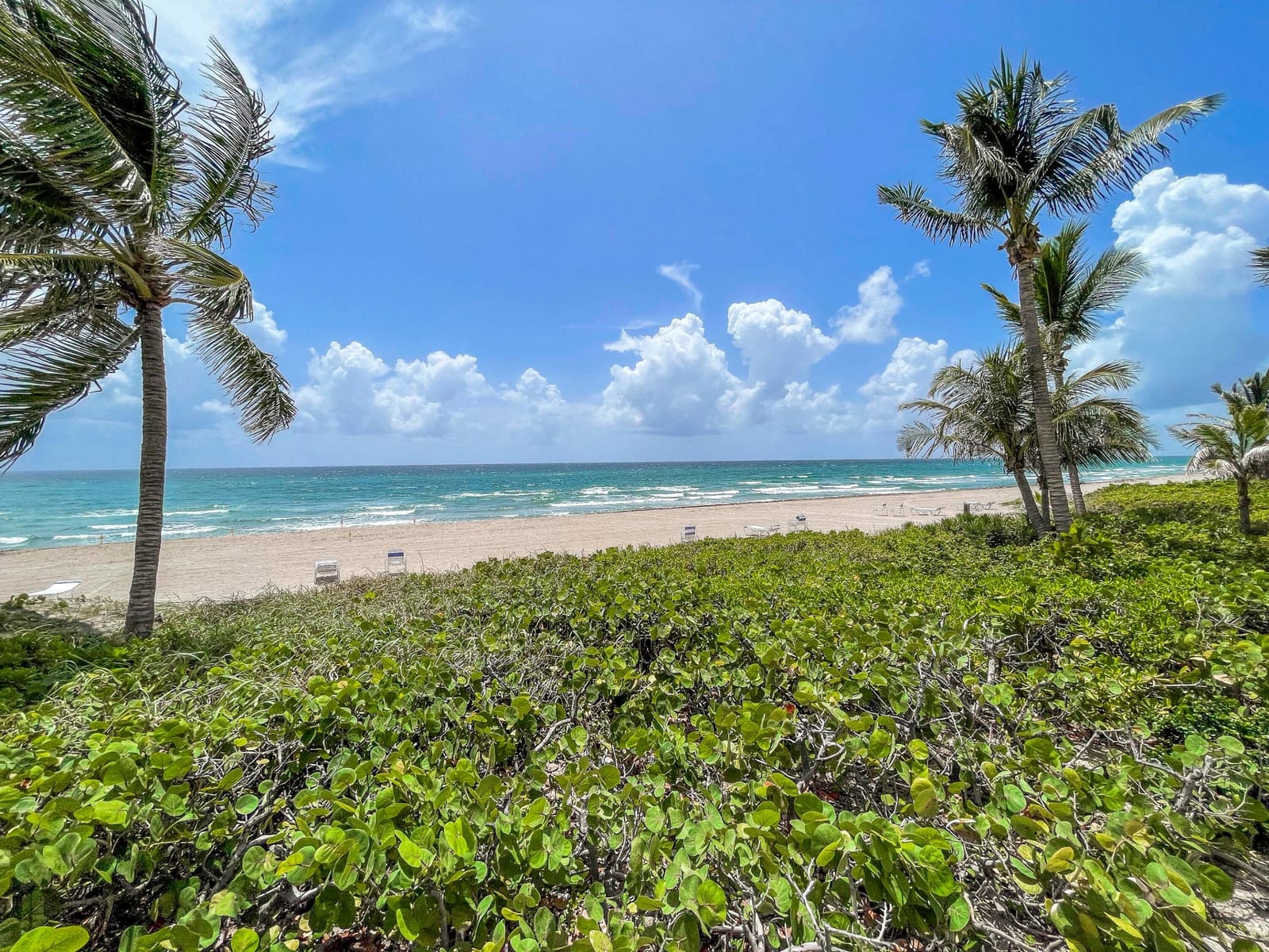 3221 S Ocean Boulevard 501, Highland Beach, FL 33487 photo 25