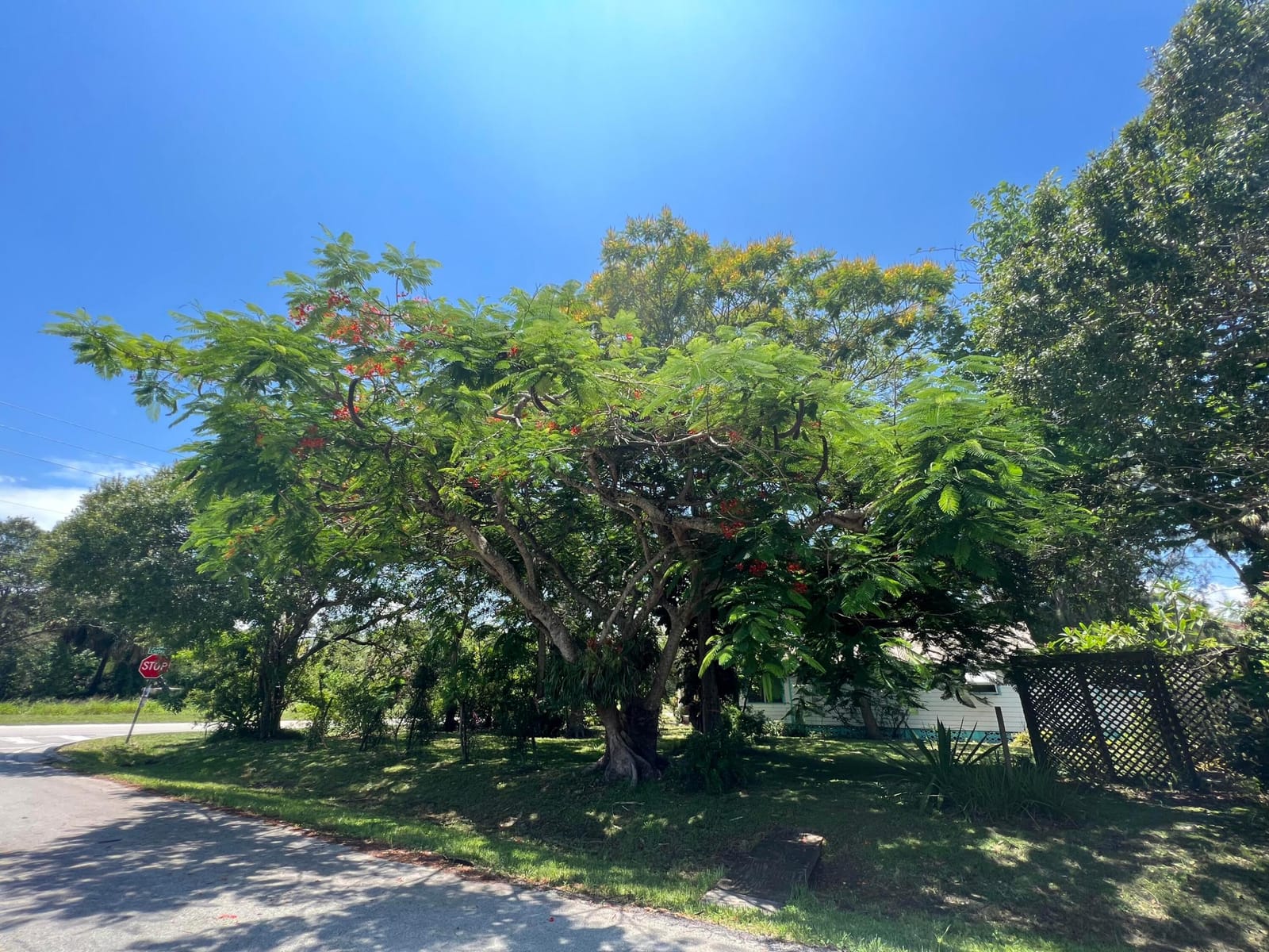 2302 Cortez Boulevard, Fort Pierce, FL 34982 photo 21