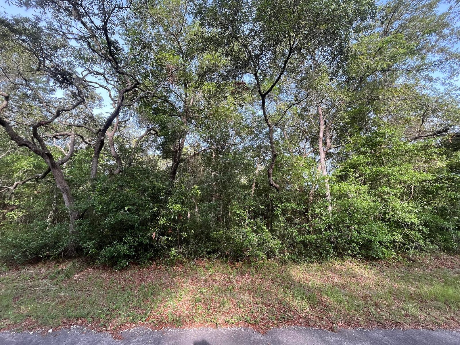 6634 N Pagoda Tree Terrace — photo 7
