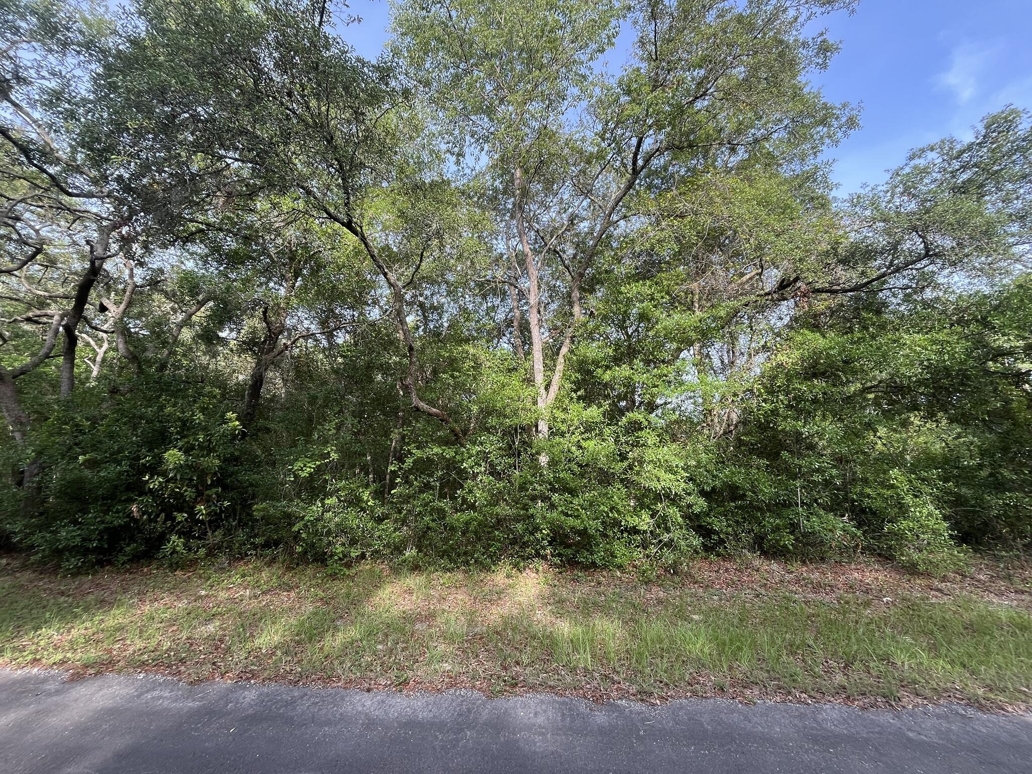 6634 N Pagoda Tree Terrace, Hernando, FL 34442, Hernando