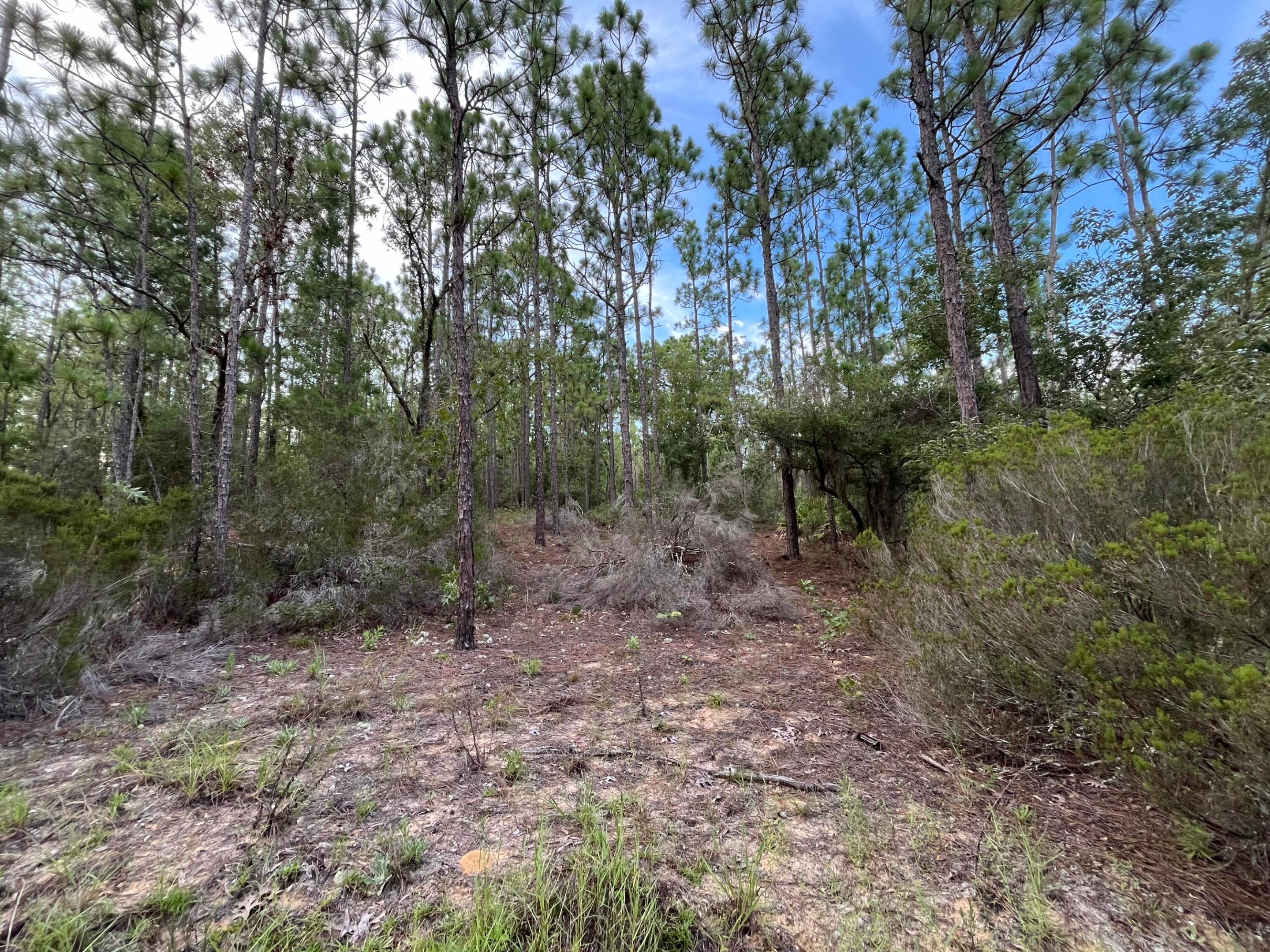 124 New York Avenue, Interlachen, FL 32148, Interlachen