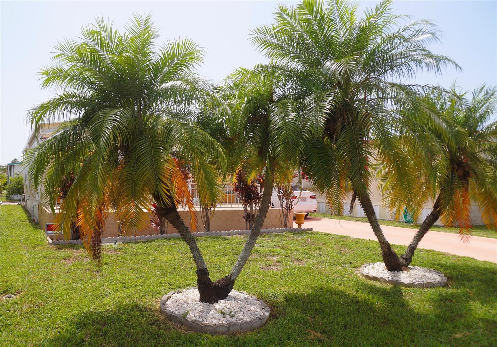 5280 SW 23rd Avenue, Fort Lauderdale, FL 33312 photo 3