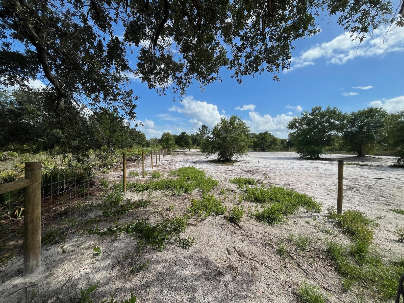 16916 NW 262nd Street, Okeechobee, FL 34972 photo 6