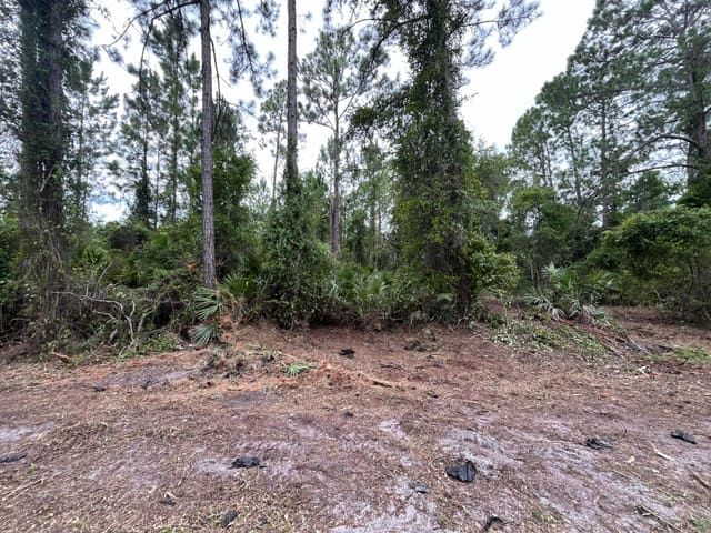 147 Roebuck Street, Lake George Manor, Georgetown, FL