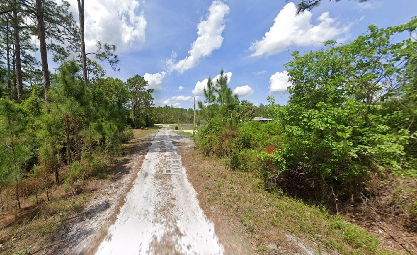 147 Roebuck Street, Georgetown, FL 32139 photo 7