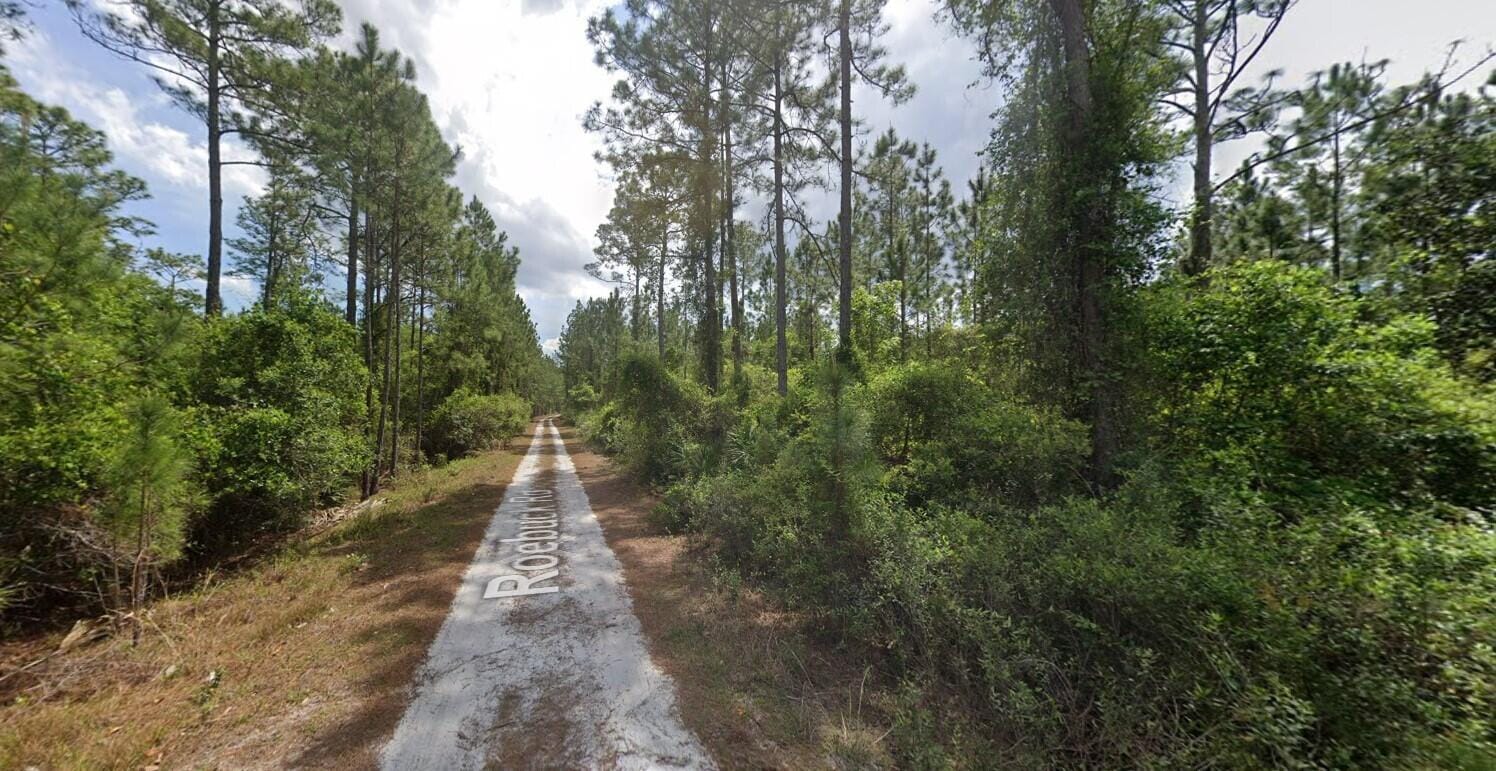 147 Roebuck Street, Georgetown, FL 32139 photo 8