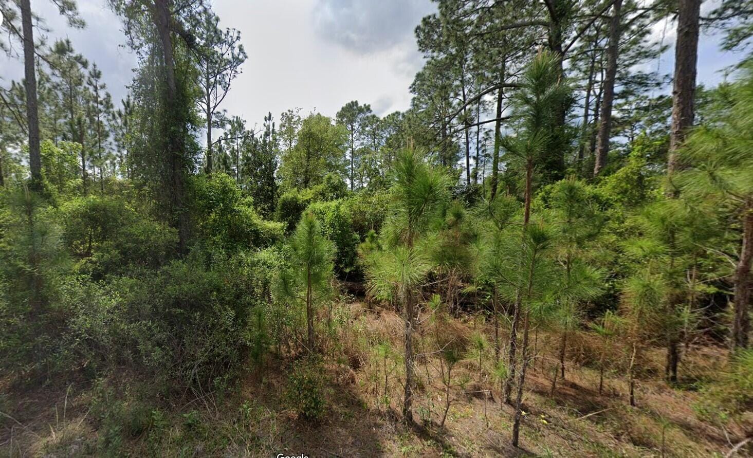 147 Roebuck Street, Georgetown, FL 32139 photo 9
