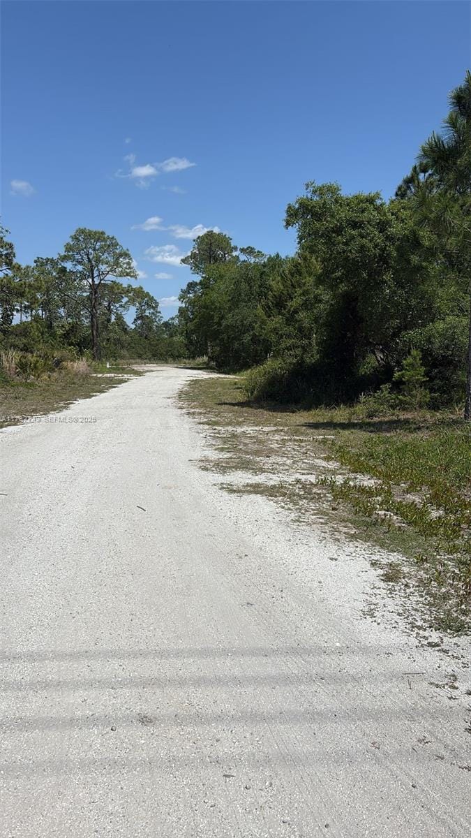 234 Swift Avenue, Sebring, FL 33870 photo 2