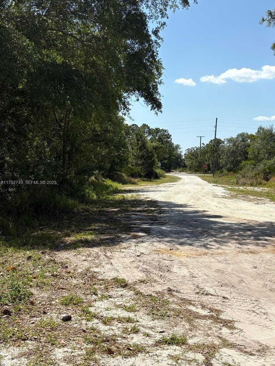 234 Swift Avenue, Sebring, FL 33870 photo 3