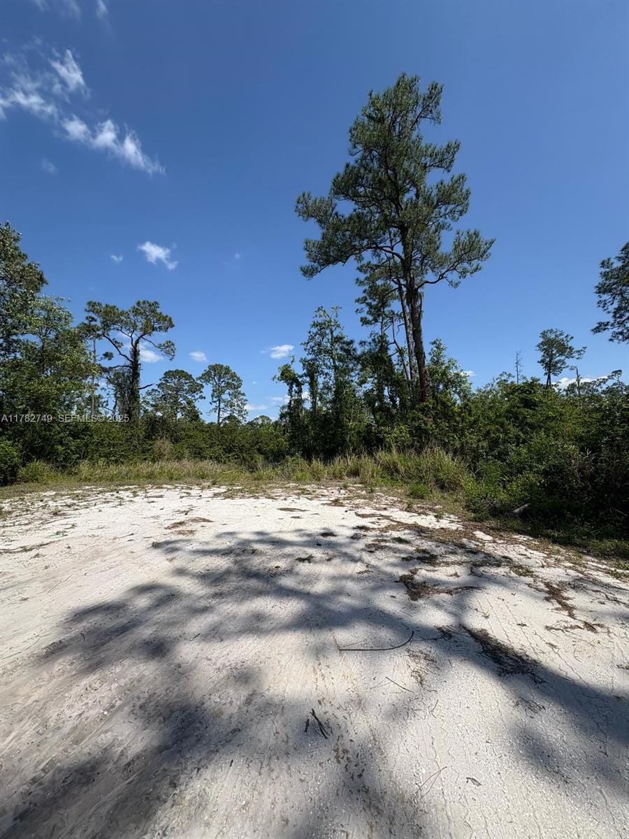 234 Swift Avenue, Sebring, FL 33870 photo 4
