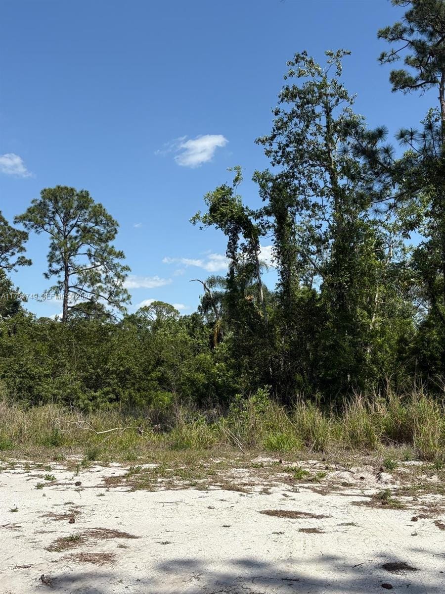 234 Swift Avenue, Sebring, FL 33870 photo 5