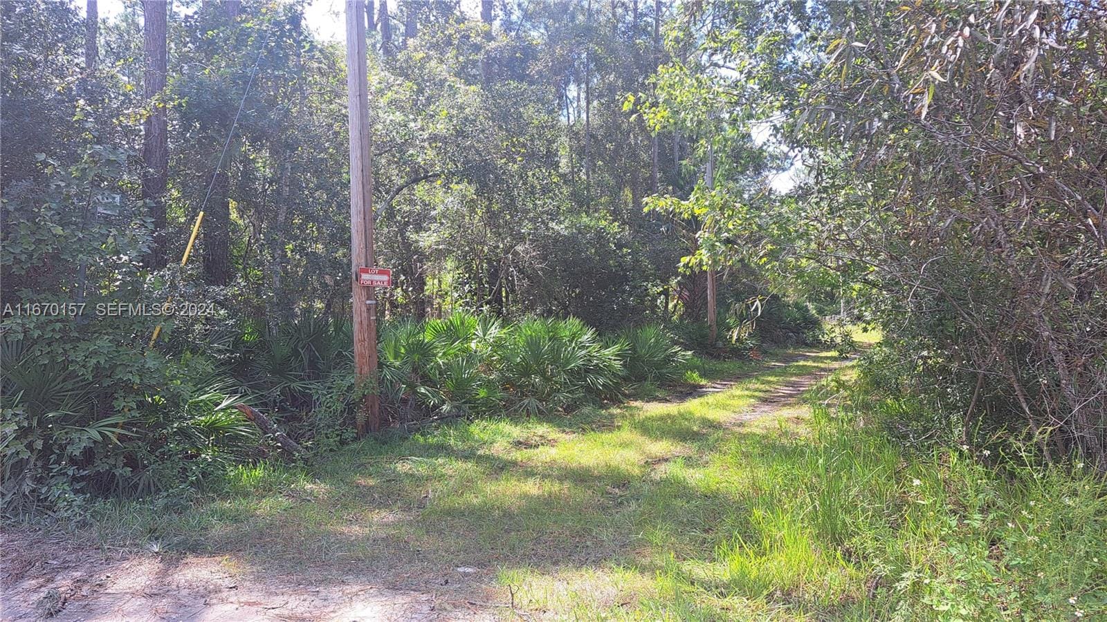 UNDETERMINED NE 42nd Street, Ocala, FL 34488 photo 3