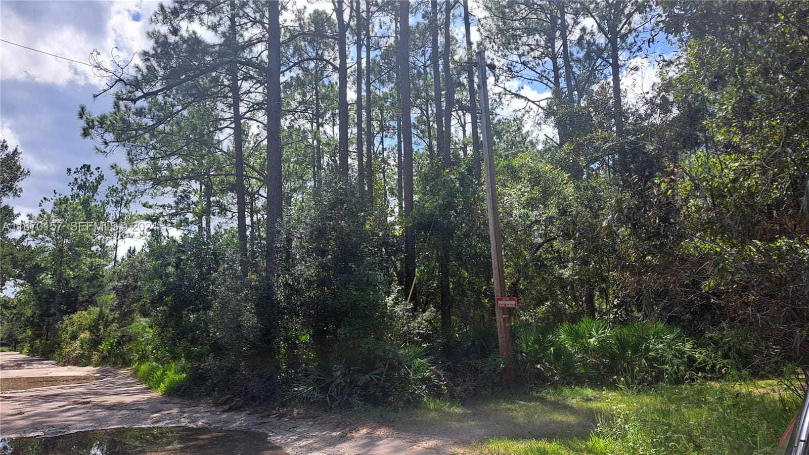 UNDETERMINED NE 42nd Street, Ocala, FL 34488 photo 4
