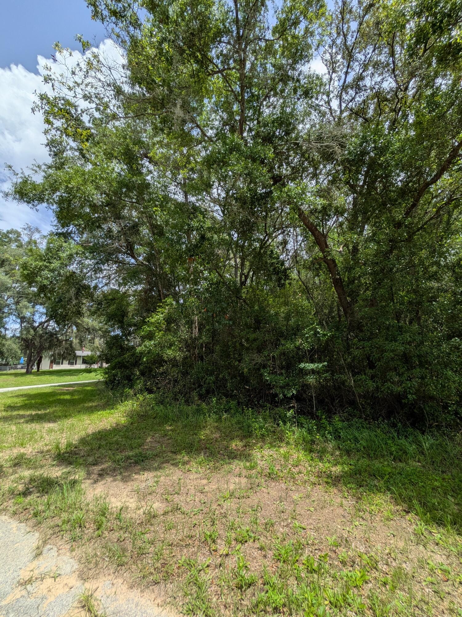 8989 N Conch Terrace, Dunnellon, FL 34434 photo 2