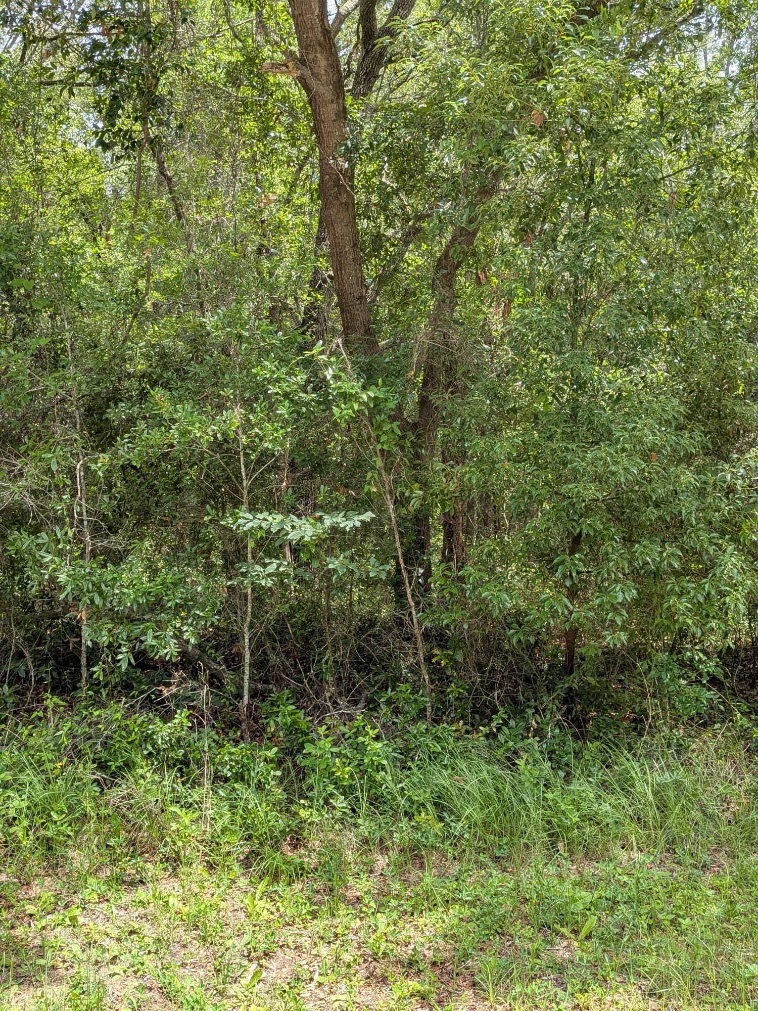 8989 N Conch Terrace, Dunnellon, FL 34434 photo 3