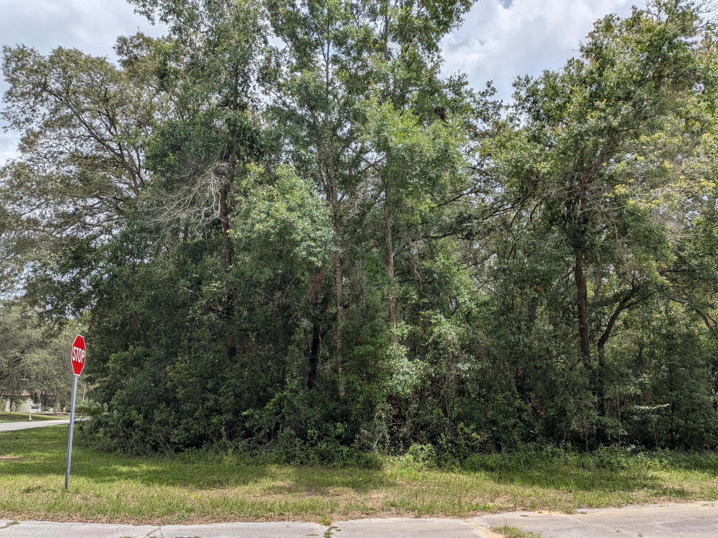8989 N Conch Terrace, Dunnellon, FL 34434, Dunnellon