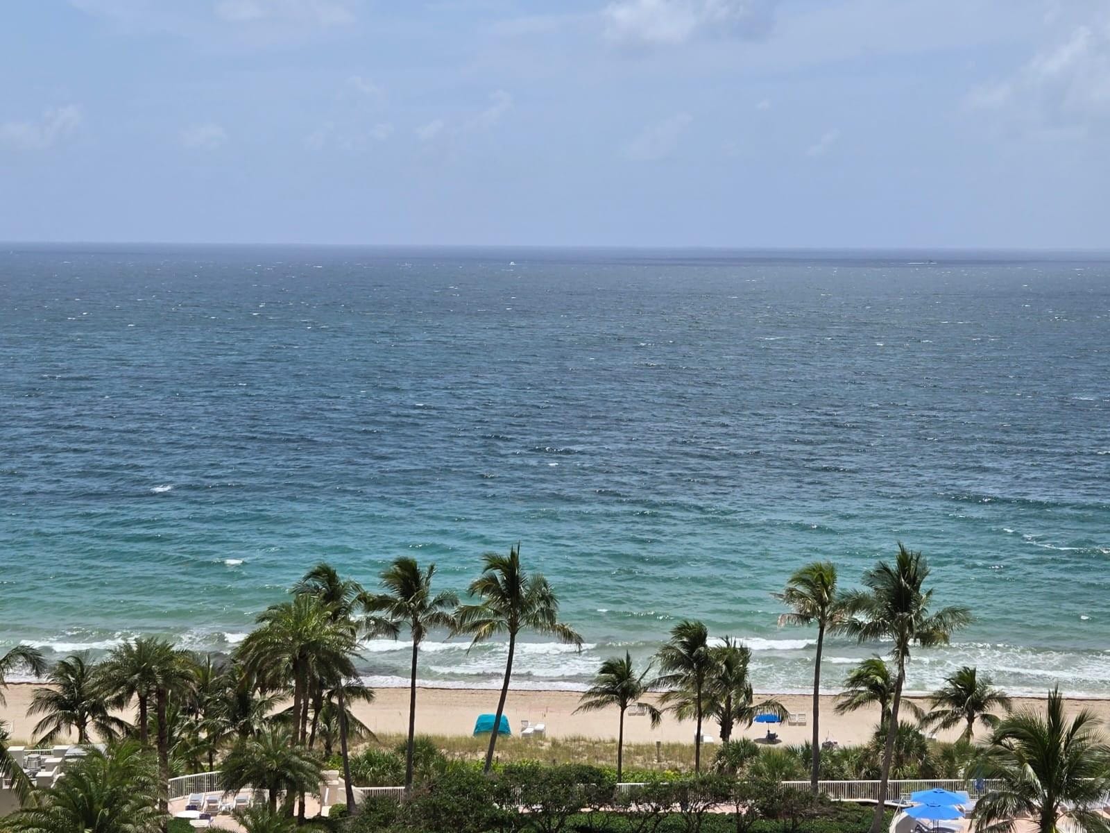 3100 N Ocean Boulevard 1203, Fort Lauderdale, FL 33308