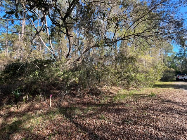 104 SE 5th Street, Paradise Lakes Sub, Georgetown, FL