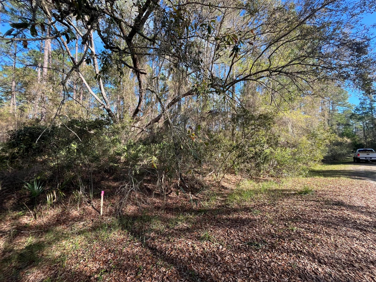 104 SE 5th Street, Georgetown, FL 32139