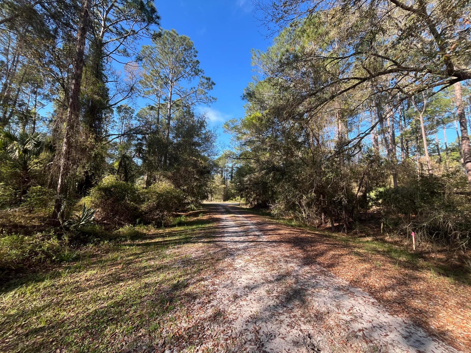 104 SE 5th Street, Georgetown, FL 32139 photo 2