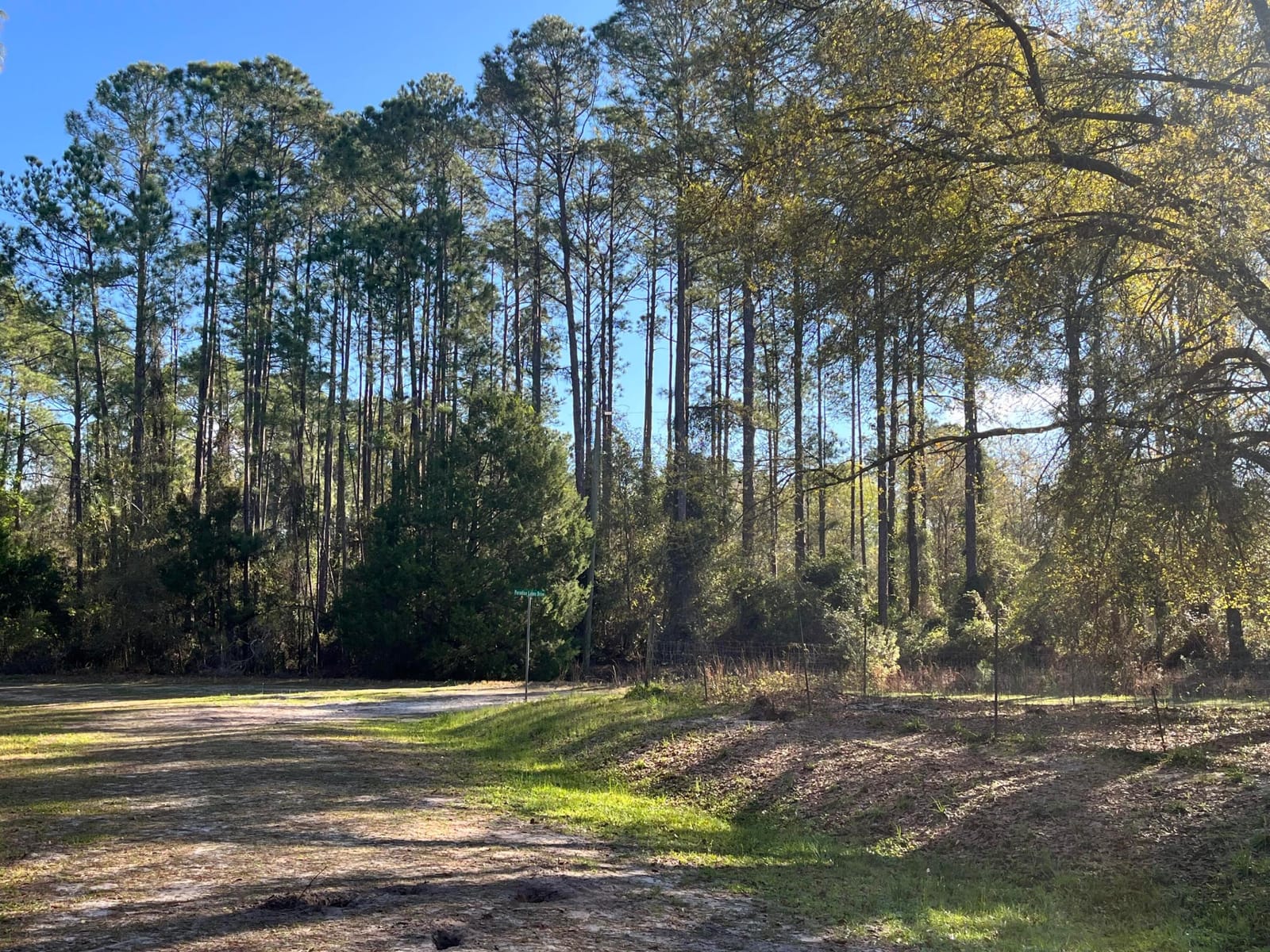 104 SE 5th Street, Georgetown, FL 32139 photo 5
