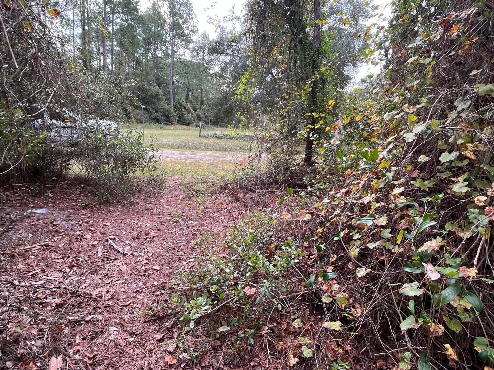 108 SE 5th Street, Georgetown, FL 32139 photo 2