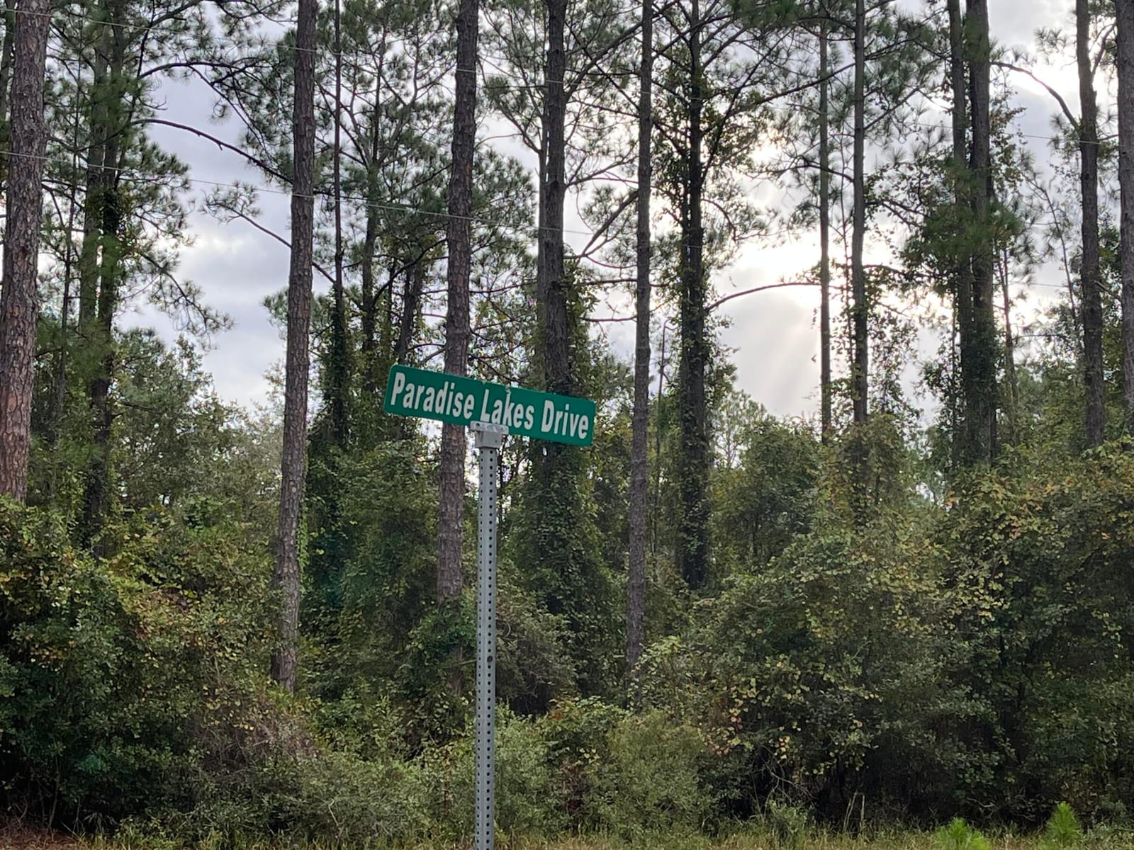 108 SE 5th Street, Georgetown, FL 32139 photo 4