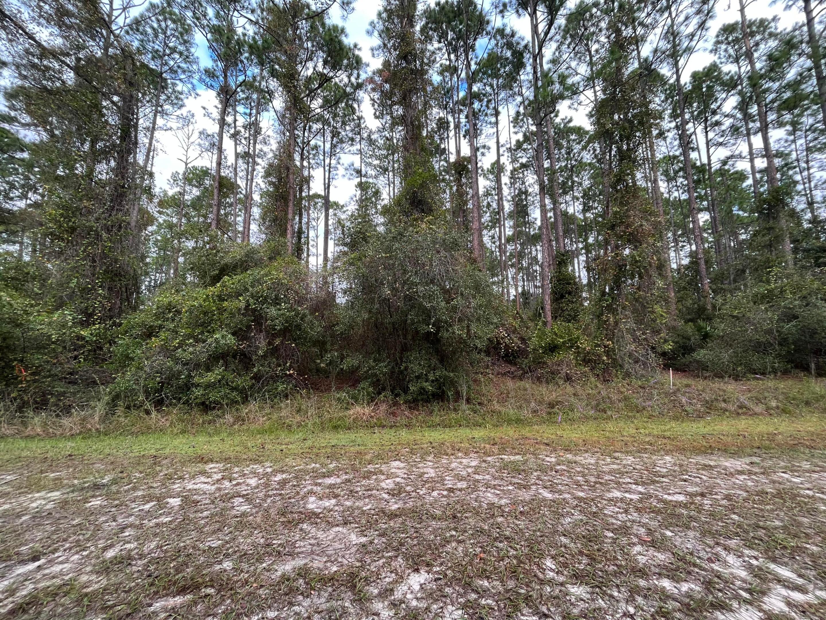 108 SE 5th Street, Georgetown, FL 32139, Georgetown