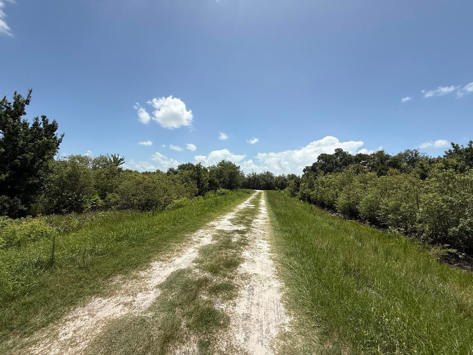17666 NW 250th Street, Okeechobee, FL 34972 photo 21