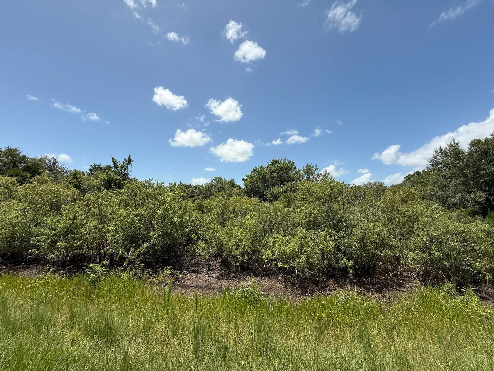 17666 NW 250th Street, Okeechobee, FL 34972 photo 22