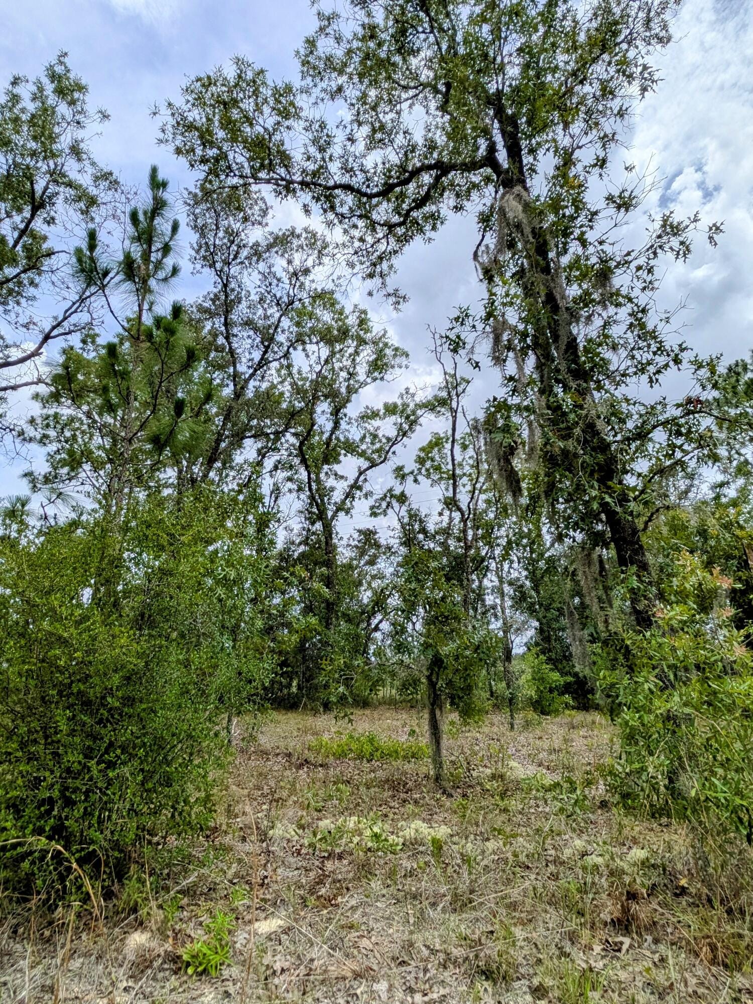 2450 W Rutland Drive — photo 2