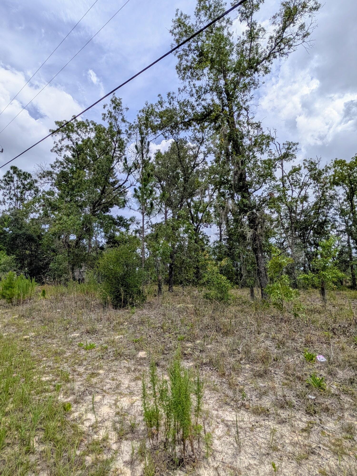 2450 W Rutland Drive — photo 3