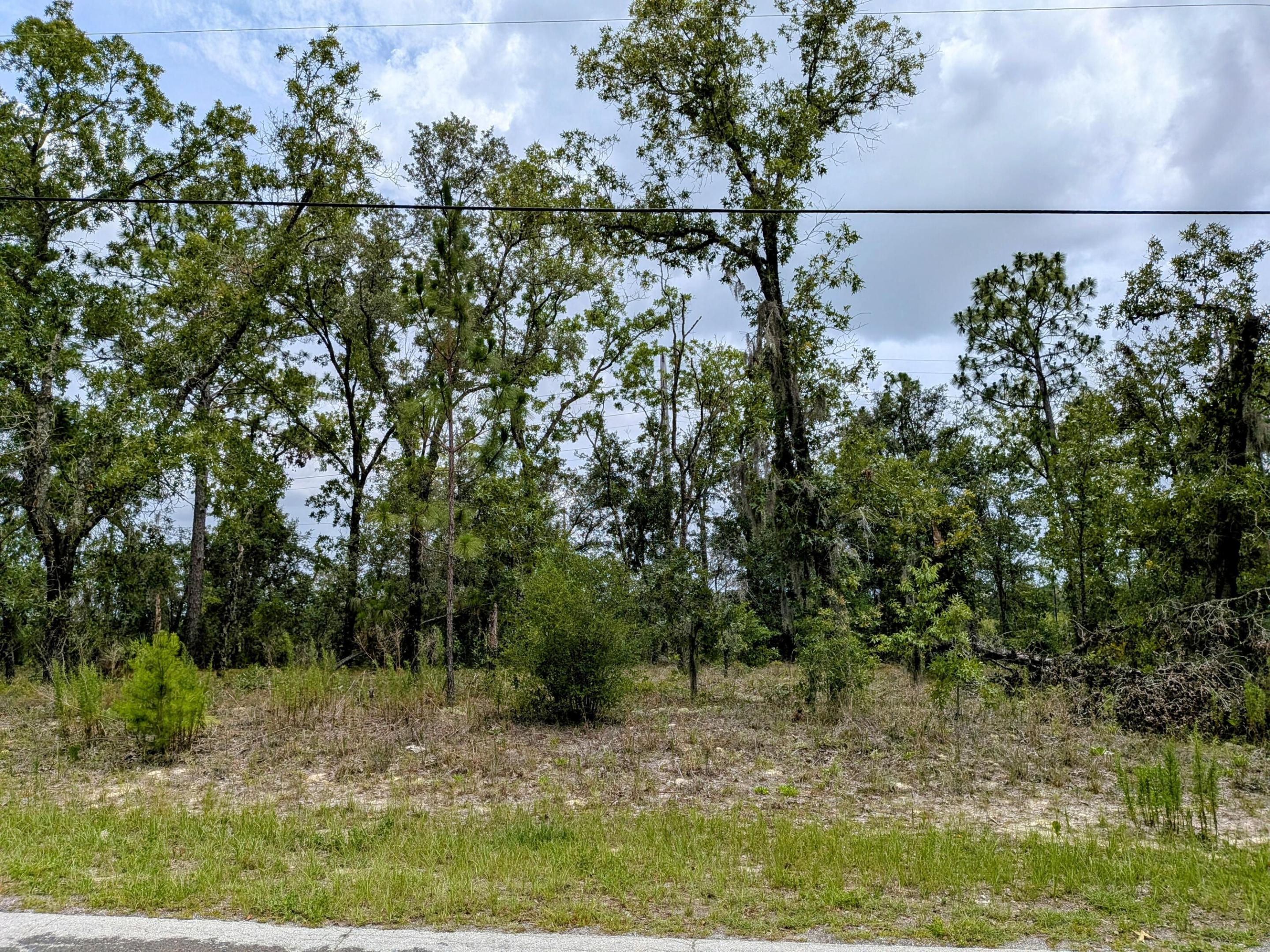 2450 W Rutland Drive, Citrus Springs, FL 34434, Citrus Springs