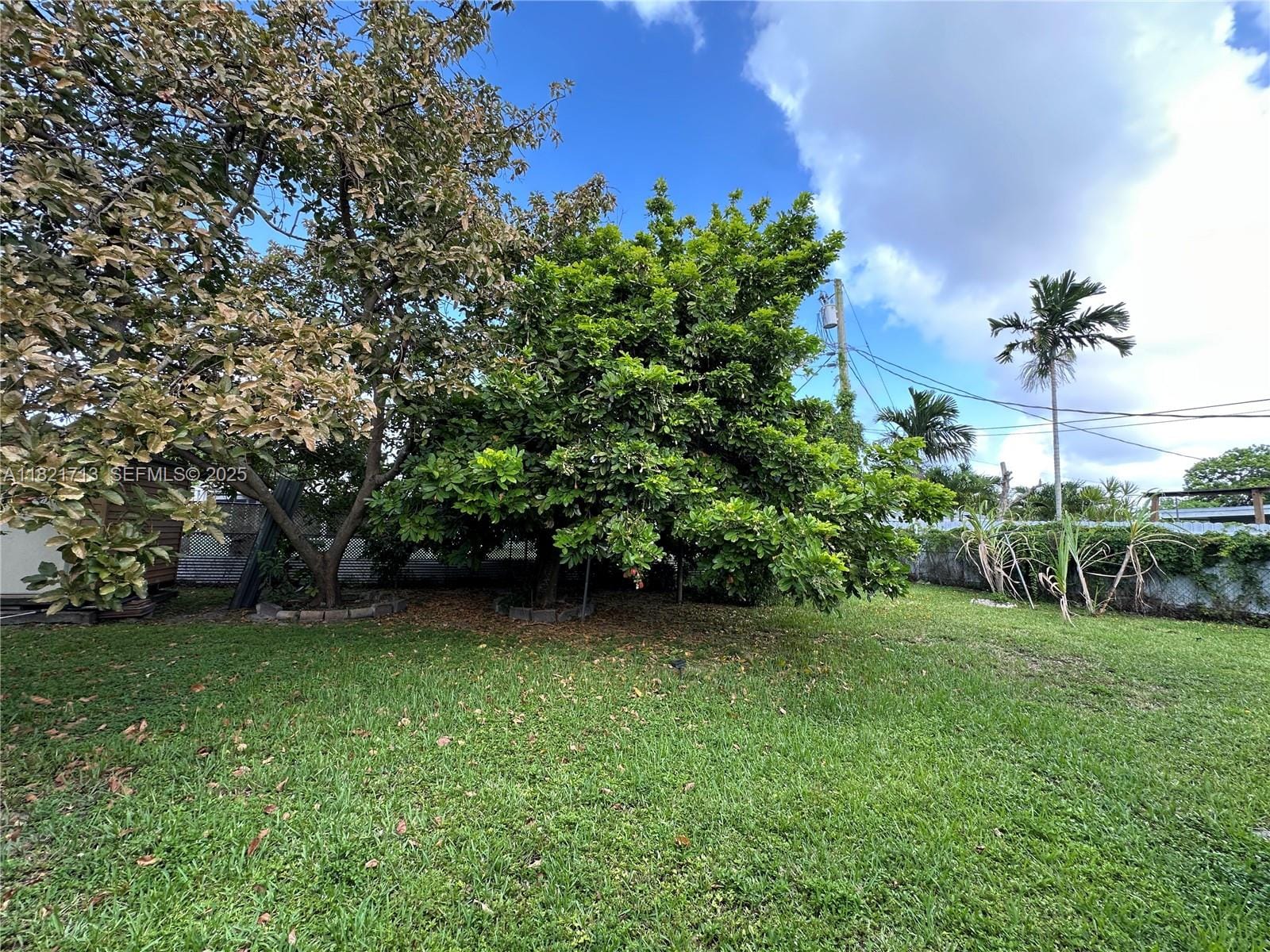 19611 NW 4th Avenue, Miami Gardens, FL 33169 photo 15