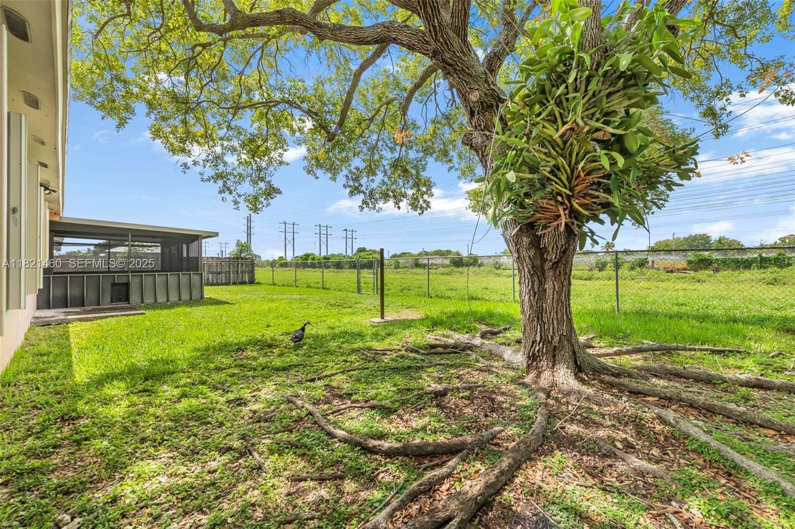 12400 SW 259th Terrace, Homestead, FL 33032 photo 27