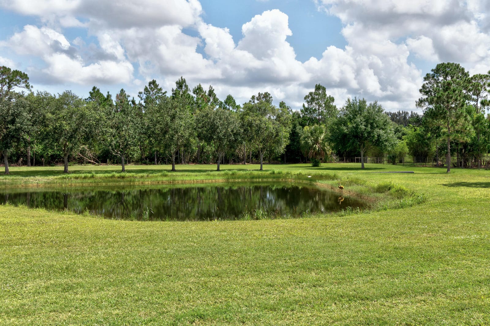 13280 81st Street, Fellsmere, FL 32948 photo 30