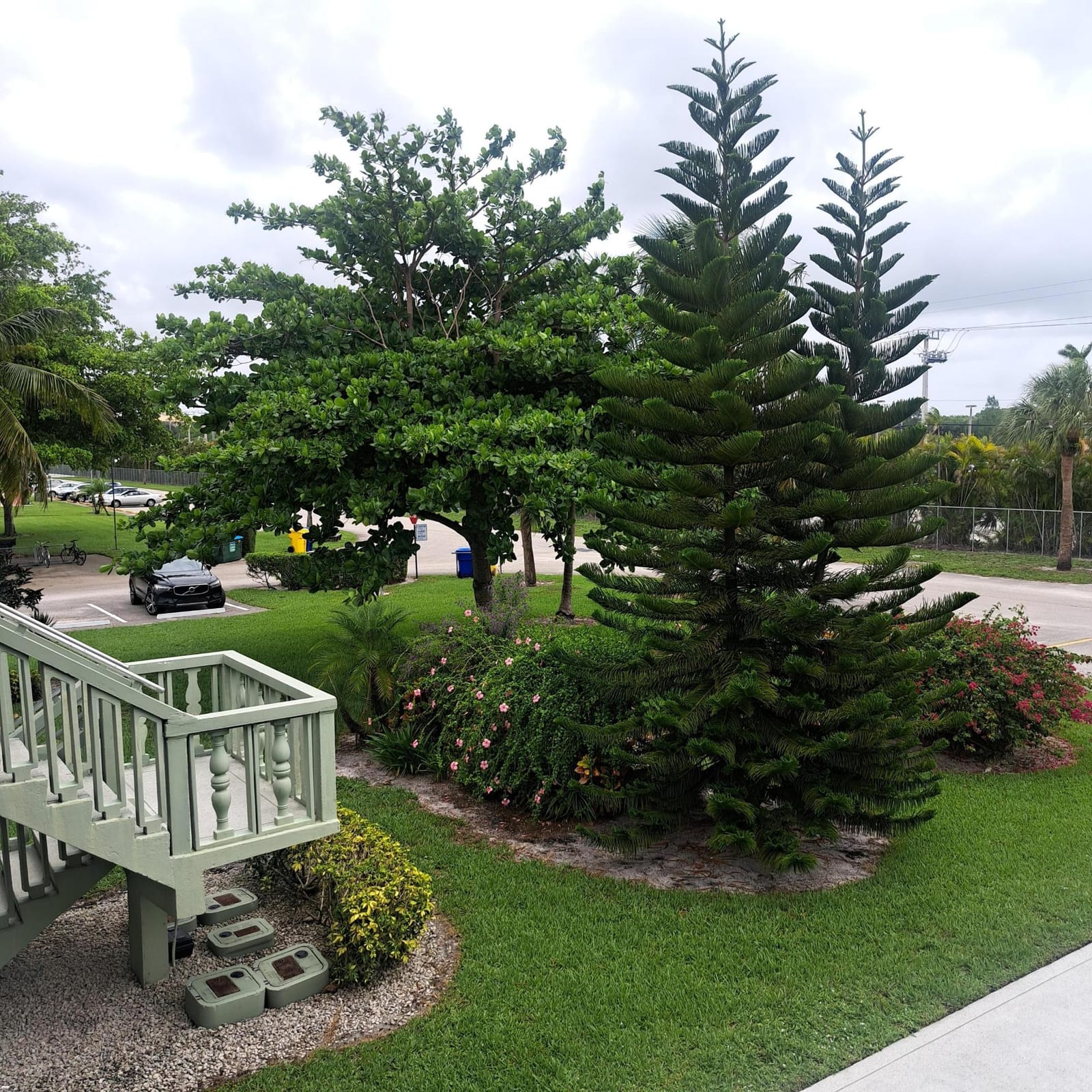 70 Easthampton C, West Palm Beach, FL 33417 photo 3
