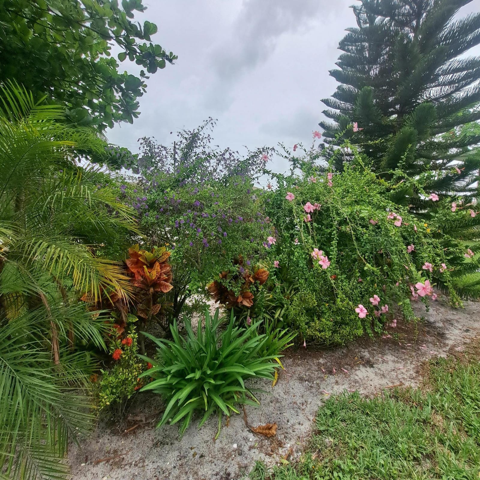70 Easthampton C, West Palm Beach, FL 33417 photo 5