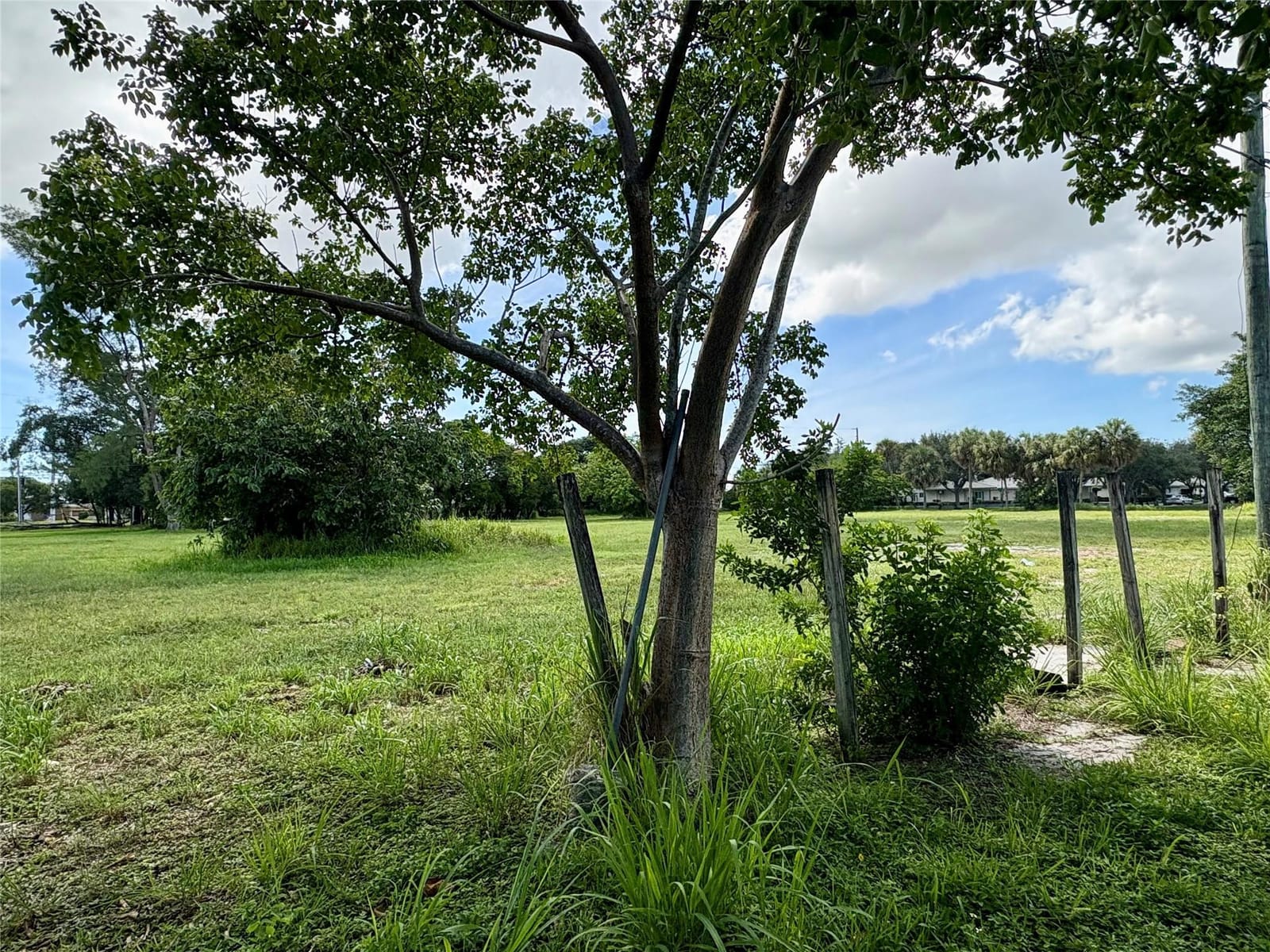 730 NW 17th Terrace, Pompano Beach, FL 33069 photo 6