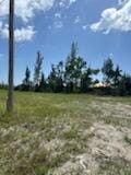 2134 NW 23rd Avenue, Cape Coral, FL 33993 photo 30