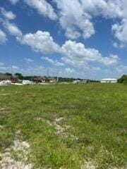 824 NE 23rd Terrace, Cape Coral, FL 33909 photo 20
