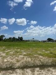 824 NE 23rd Terrace, Cape Coral, FL 33909 photo 26