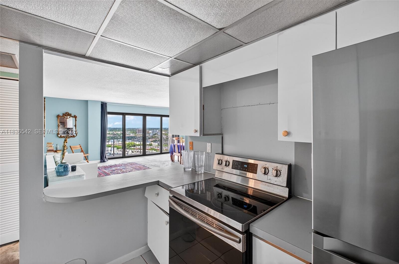 11111 Biscayne Boulevard 2100, Miami, FL 33181 photo 5
