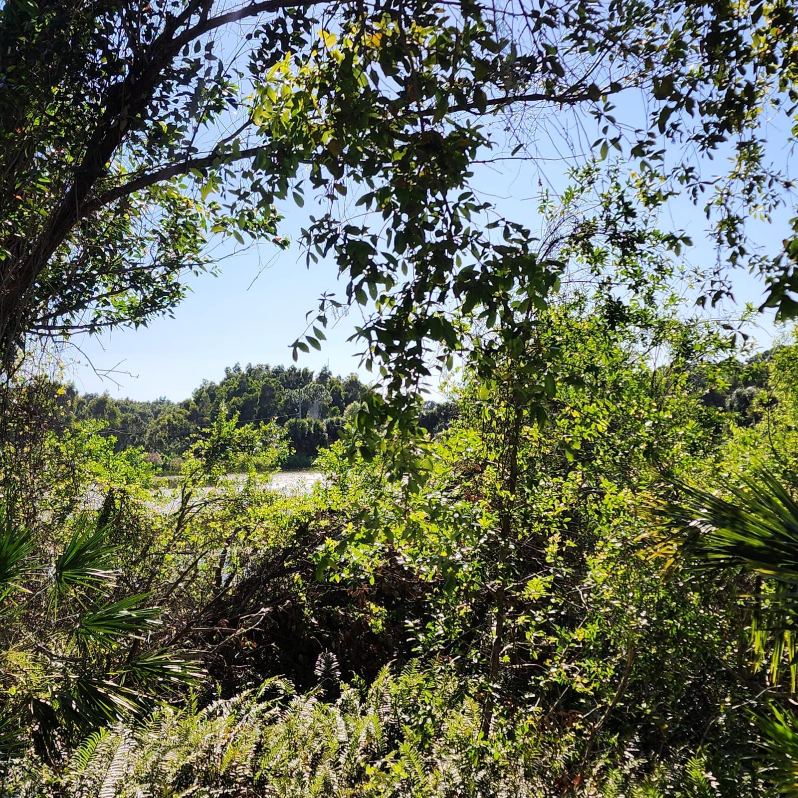 1225 NE Savannah Road 104, Jensen Beach, FL 34957 photo 17