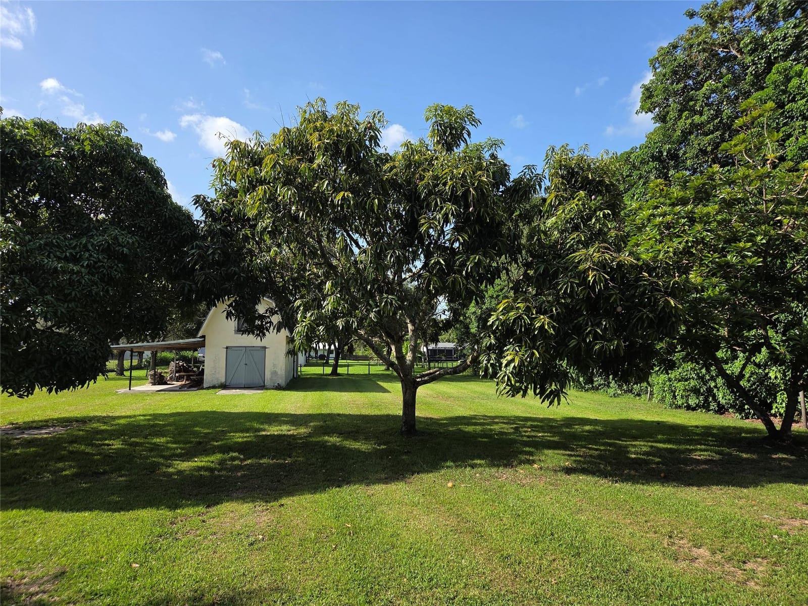 14631 SW 21st Street, Davie, FL 33325 photo 22
