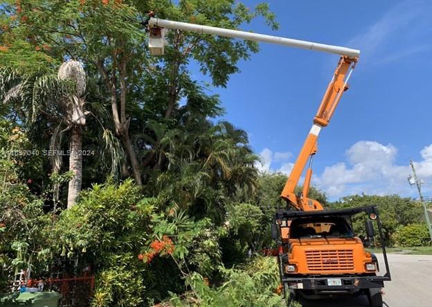 Tree Services In Miami, Miami, FL 33183