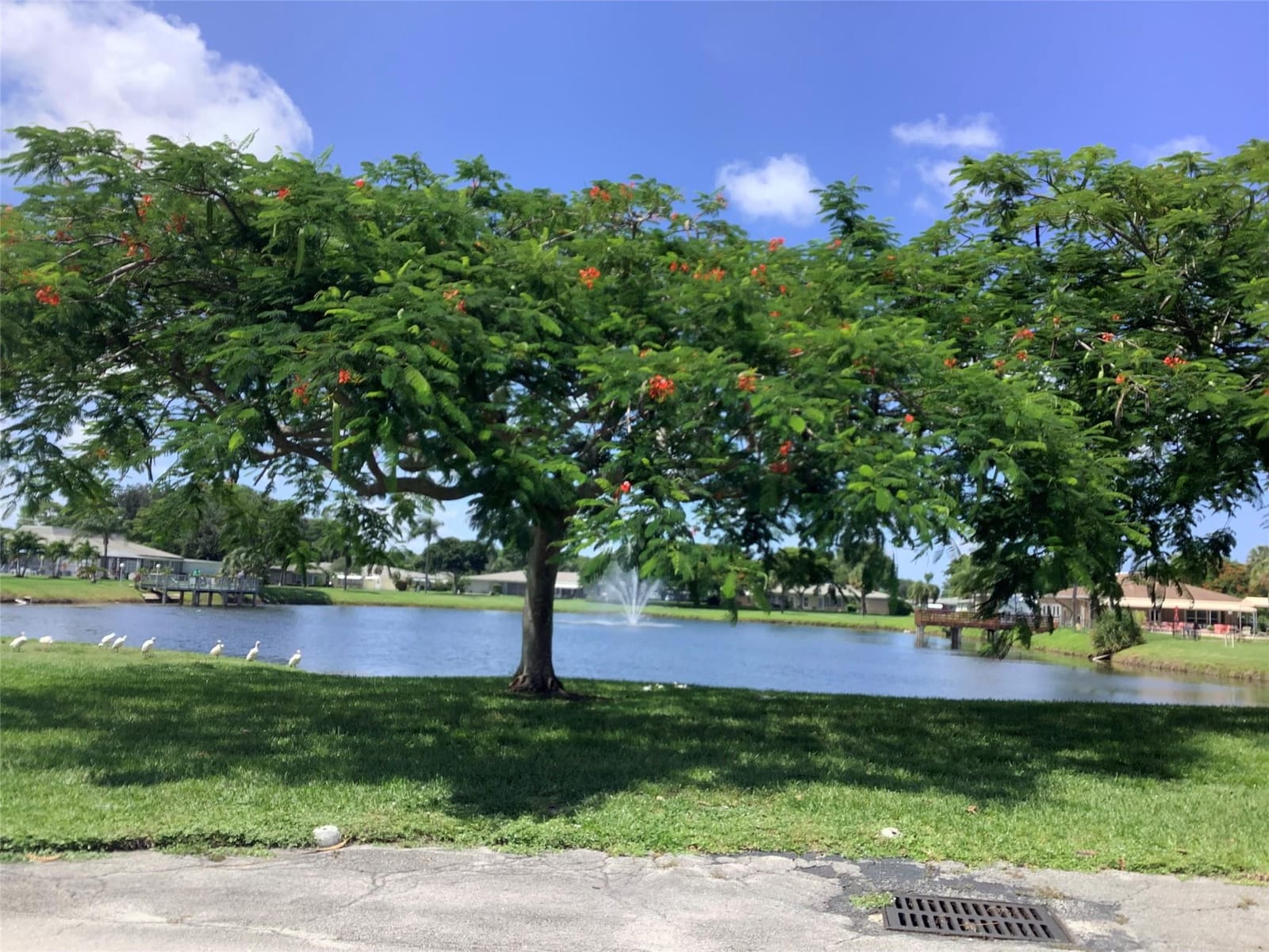 760 High Point Boulevard C, Delray Beach, FL 33445